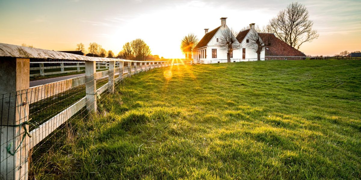 beautiful-shot-fence-leading-house-green-grass-area_181624-18255
